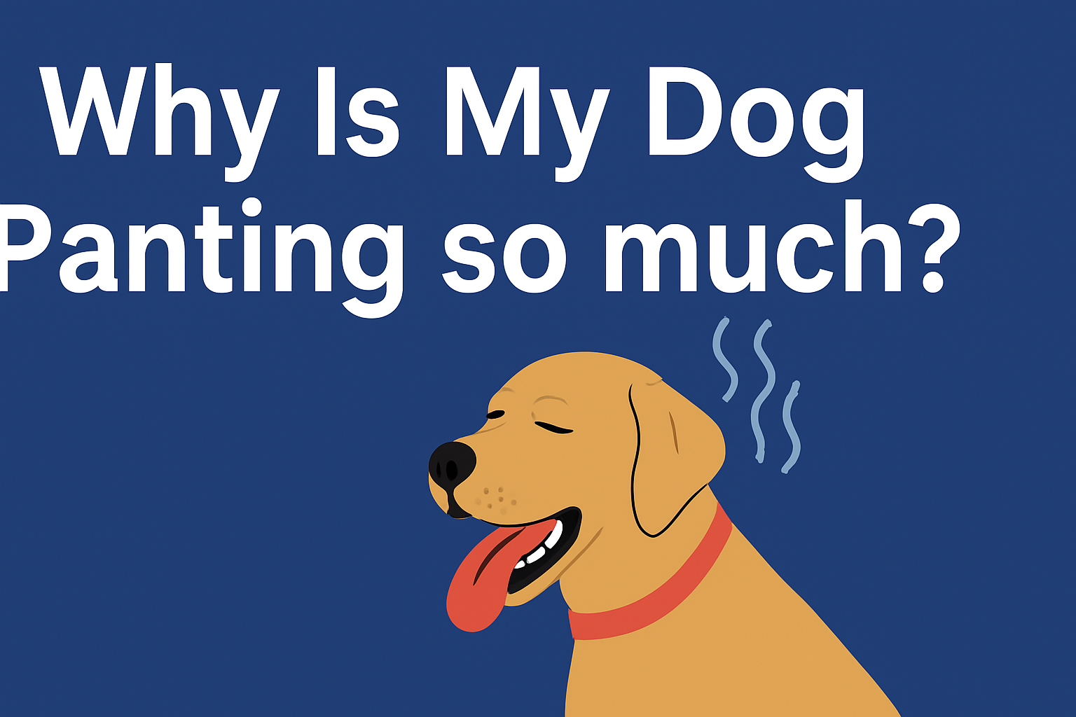 Why Is My Dog Panting so much?