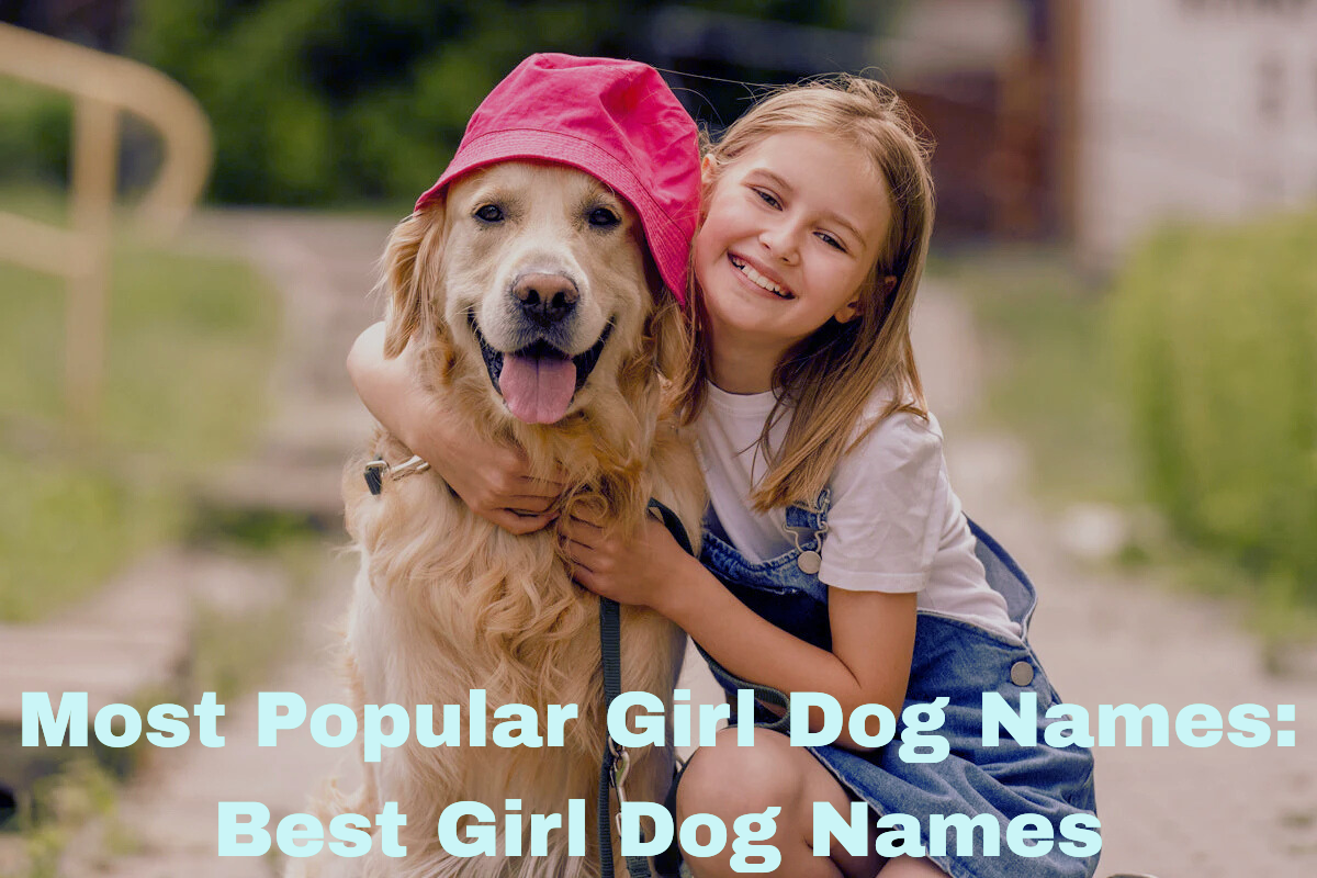 Most Popular Girl Dog Names: Best Girl Dog Names