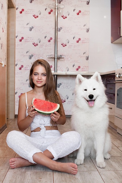 Can Dogs Eat Watermelon?