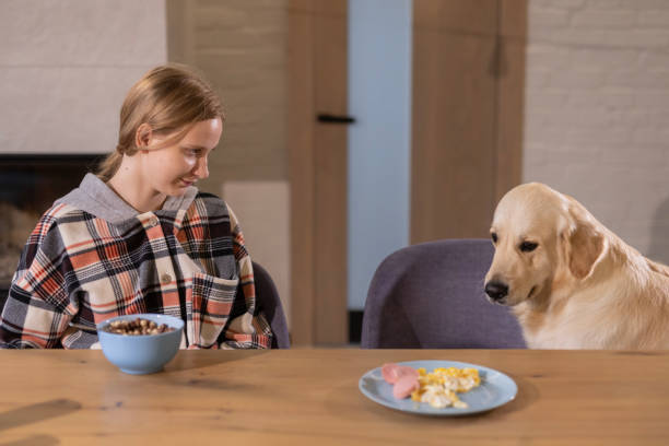 Diamond Naturals Dog Food​