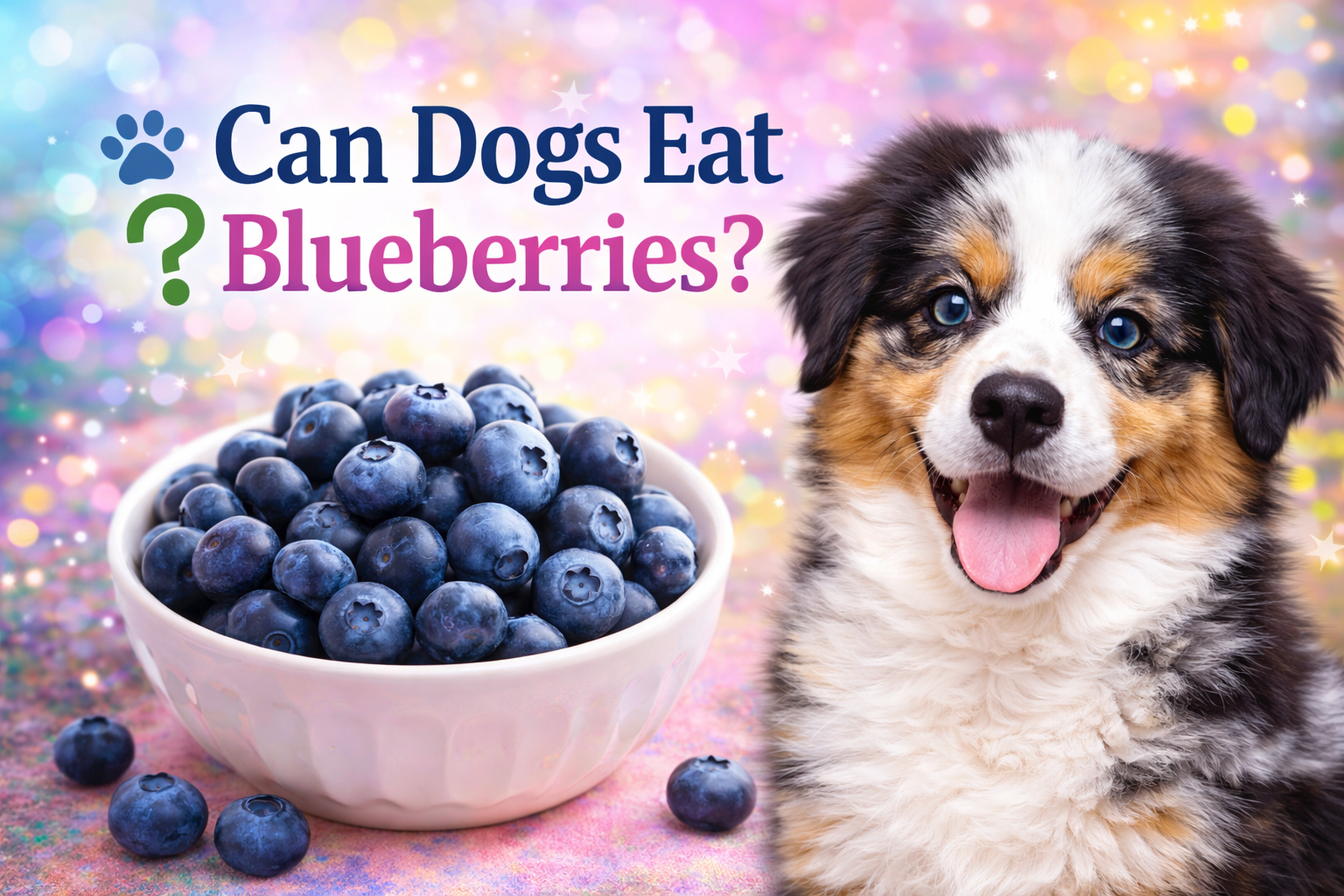 Can Dogs Eat Blueberries?